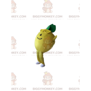 Traje de mascote Lemon BIGGYMONKEY™ com óculos escuros