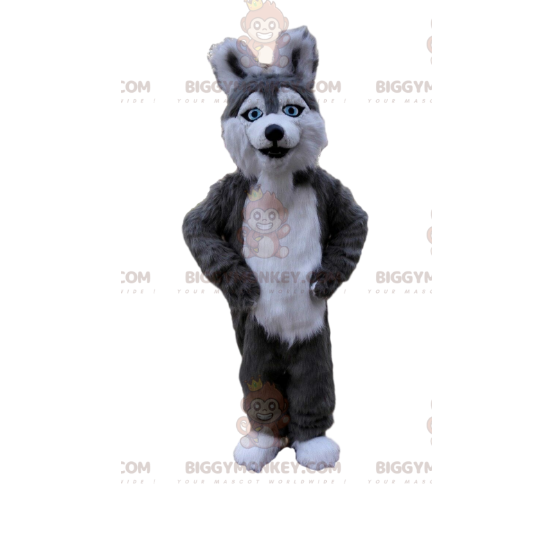 BIGGYMONKEY™ Husky Dog Mascot Costume, Gray and White Wolfdog