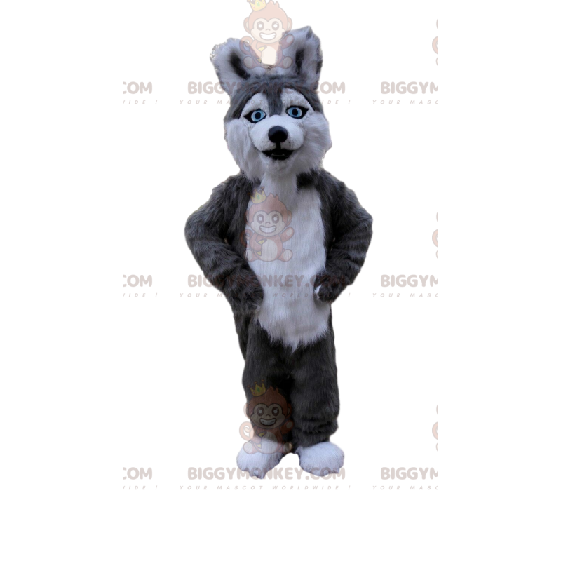 BIGGYMONKEY™ Husky-Hund-Maskottchen-Kostüm, grau-weißes