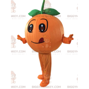 Costume de mascotte BIGGYMONKEY™ d'orange orange et ronde