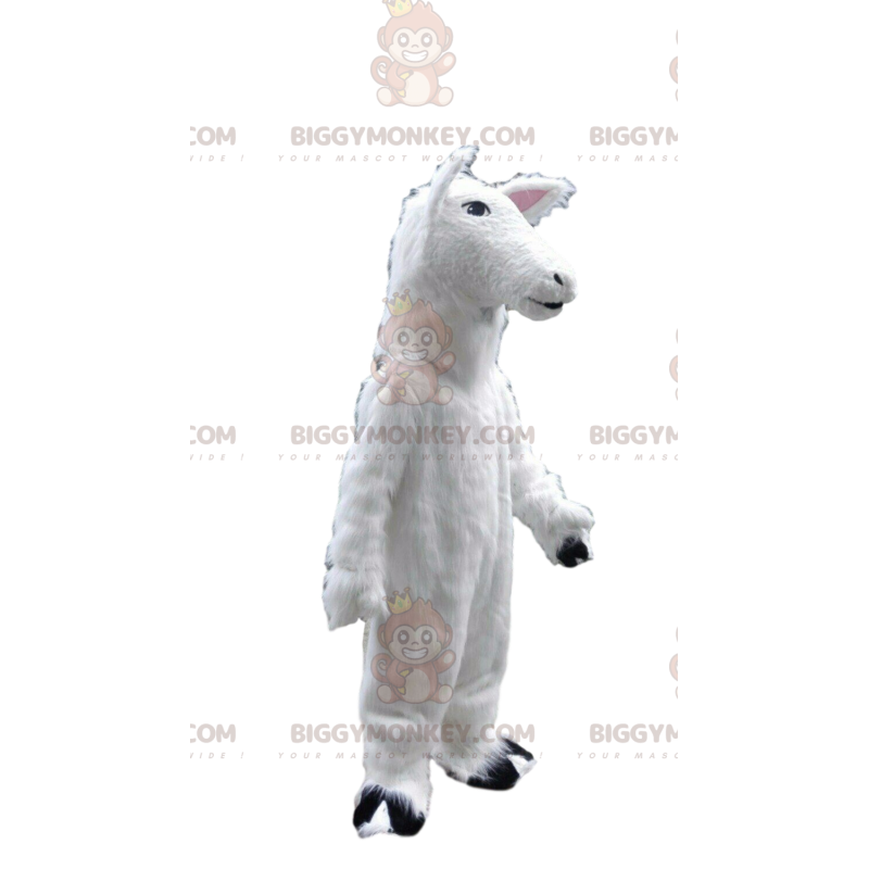 Ewe BIGGYMONKEY™ maskottiasu, lampaanpuku, valkoinen hevosmekko