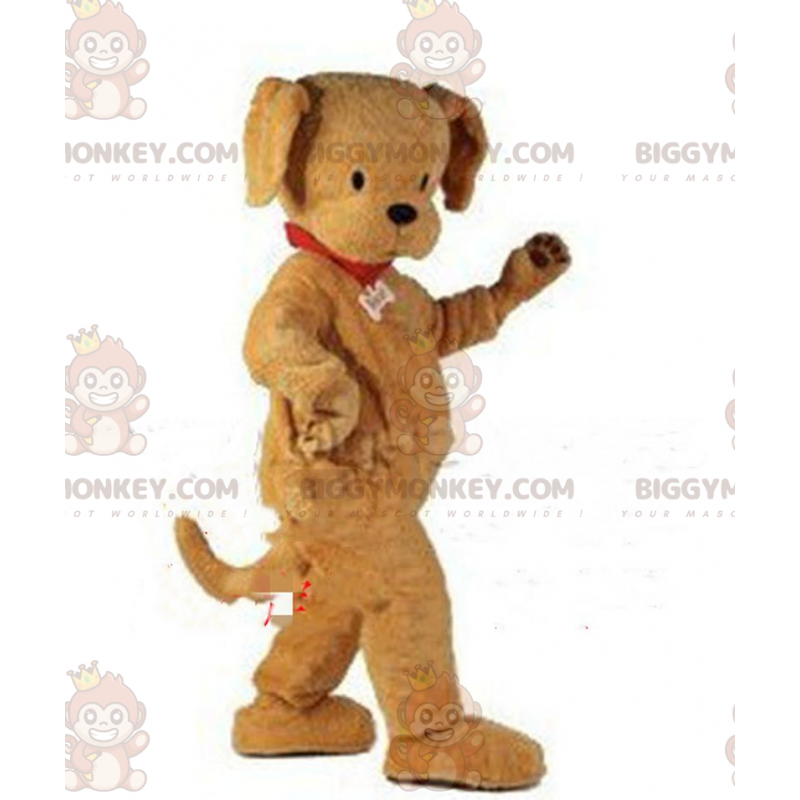 Costume de mascotte BIGGYMONKEY™ de chien marron entièrement