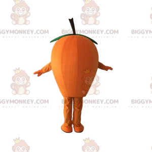 Fantasia de mascote de nêspera laranja BIGGYMONKEY™, fantasia