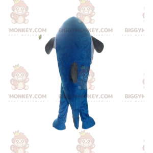 Blue and white fish BIGGYMONKEY™ mascot costume, sea costume –