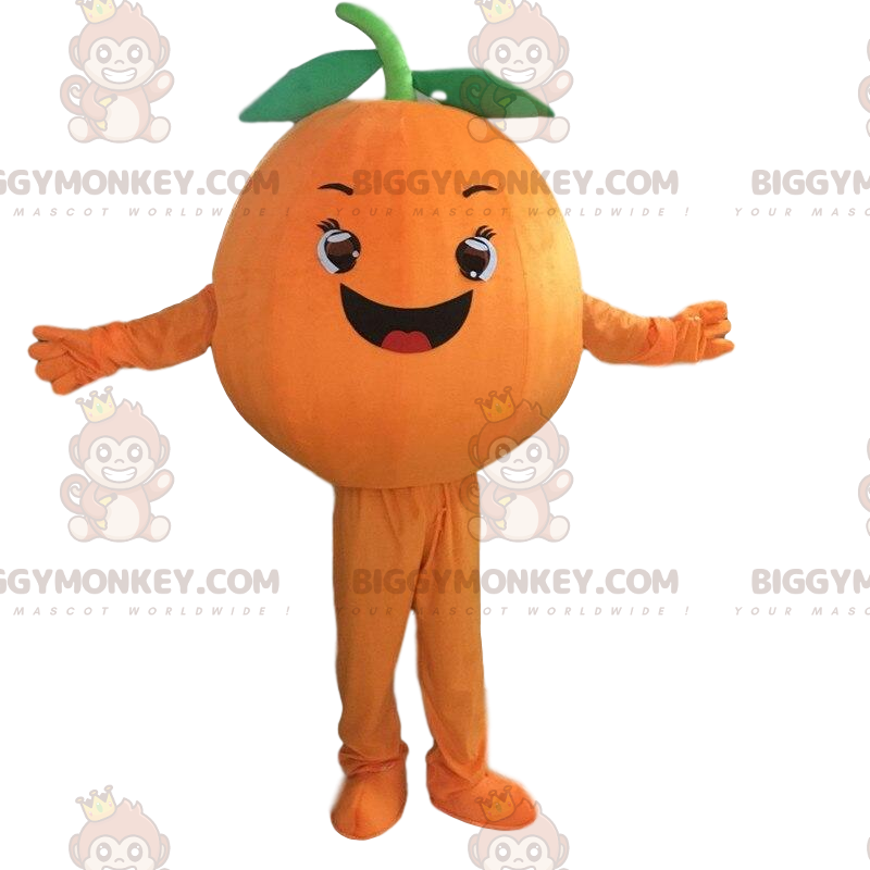 Shop Orange Fruit Costume online | Lazada.com.ph