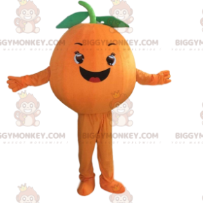 Giant Orange BIGGYMONKEY™ Mascot Costume, Orange Fruit Costume