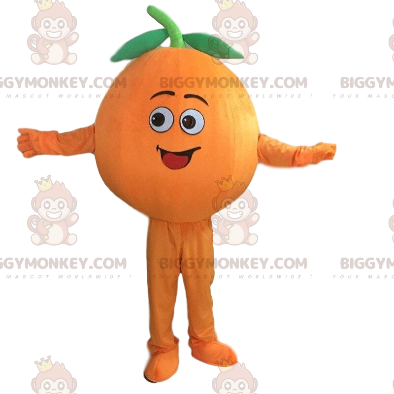 Giant Orange BIGGYMONKEY™ Mascot Costume, Clementine Costume –