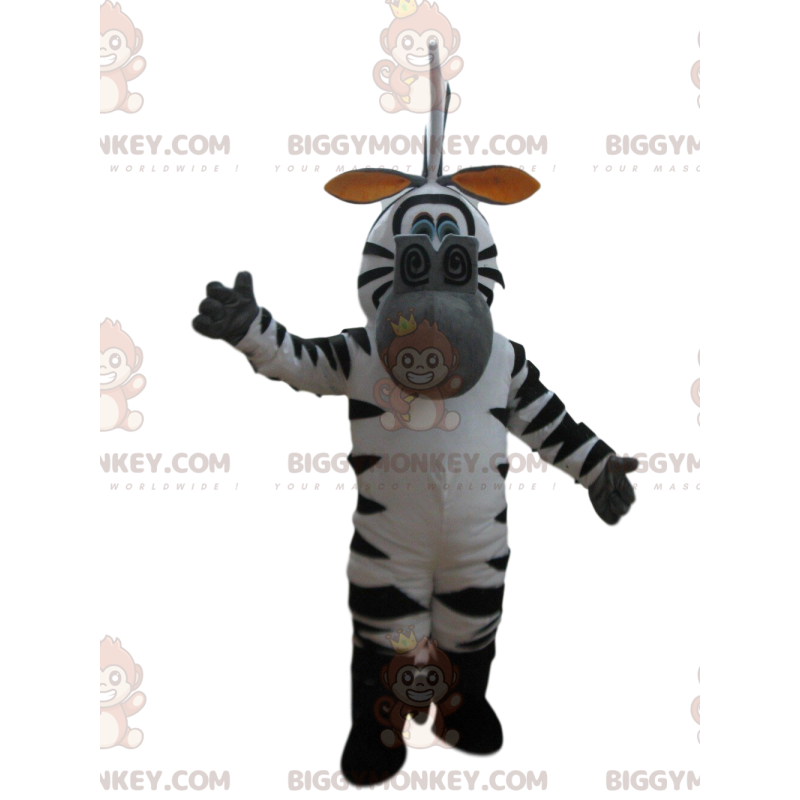 Kostium maskotki BIGGYMONKEY™ Marty'ego, słynnej zebry z