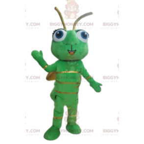 BIGGYMONKEY™ Maskottchen Kostüm Glühwürmchen Grünes Insekt