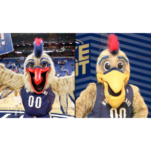 2 grandes mascotes de pássaros marrons e azuis do BIGGYMONKEY™