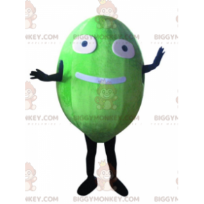 Disfraz de mascota Melon BIGGYMONKEY™, divertido disfraz de