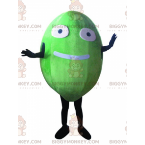 Kostým melounu BIGGYMONKEY™ maskota, vtipný kostým obřího