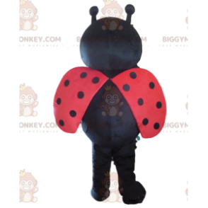 Fantasia de mascote de joaninha vermelha e preta BIGGYMONKEY™