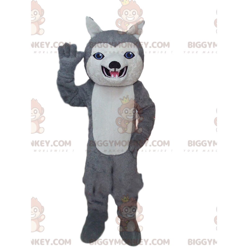 BIGGYMONKEY™ maskotkostume af grå og hvid husky, hundekostume