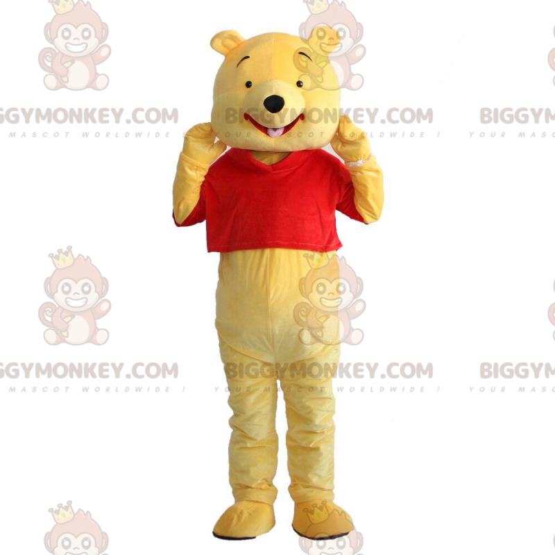 Winnie the Pooh Kostüm, berühmter Zeichentrickbär -