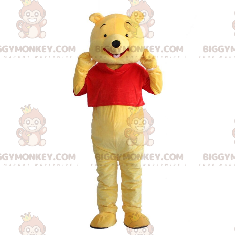 Στολή Winnie the Pooh, διάσημη αρκούδα κινουμένων σχεδίων -