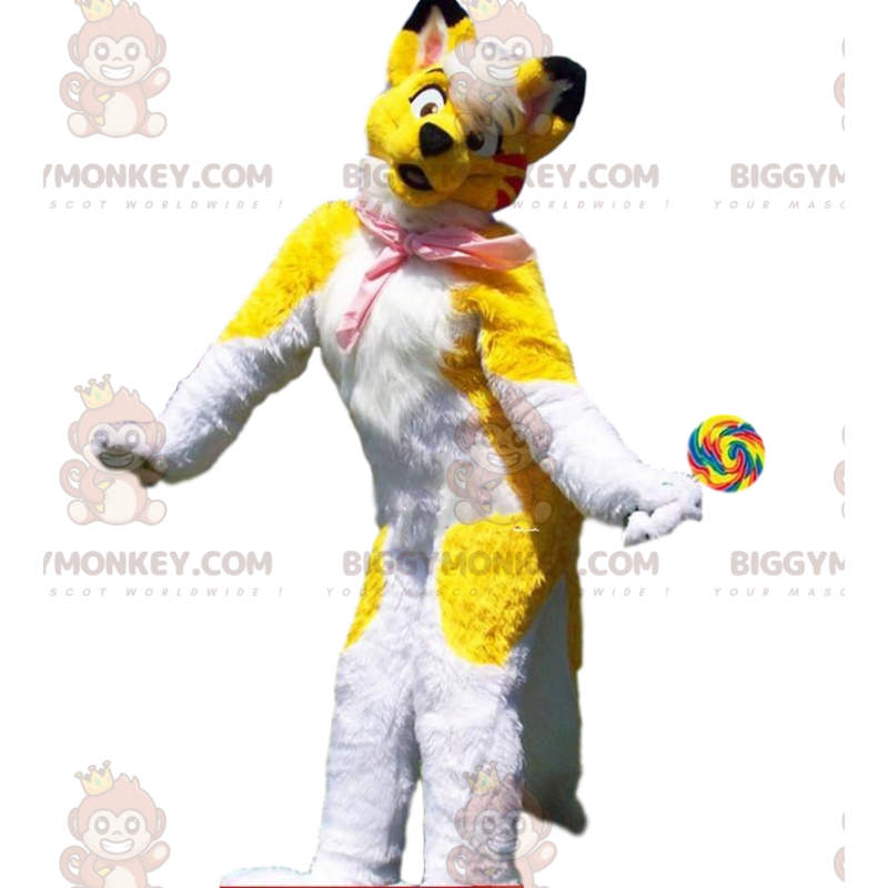 Gul och vit hunddräkt, färgglad huskydräkt - BiggyMonkey maskot