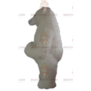 Suuri puhallettava valkoinen karhuasu, jättimäinen puku -