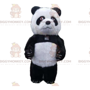 Kostým nafukovací pandy, kostým obřího medvídka –