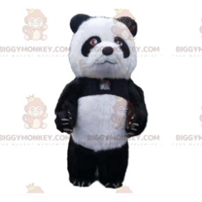Inflatable panda costume, giant teddy bear costume –
