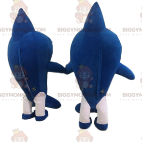 2 Riesenhai-Kostüme, blau und weiß - Biggymonkey.com
