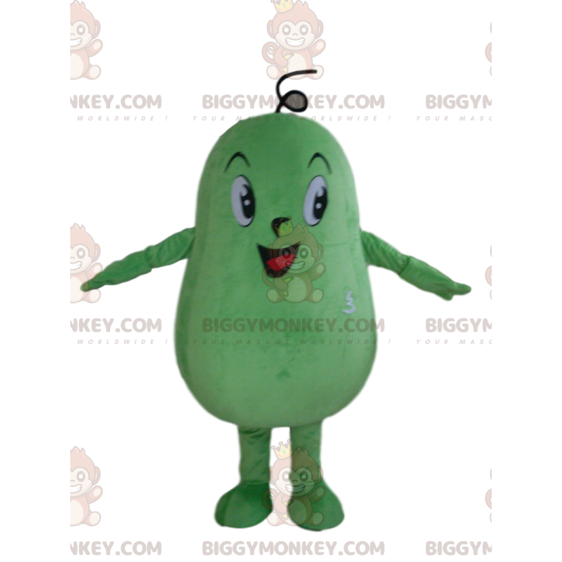 Kostým maskota Giant Green Squash BIGGYMONKEY™, Efektní šaty ze