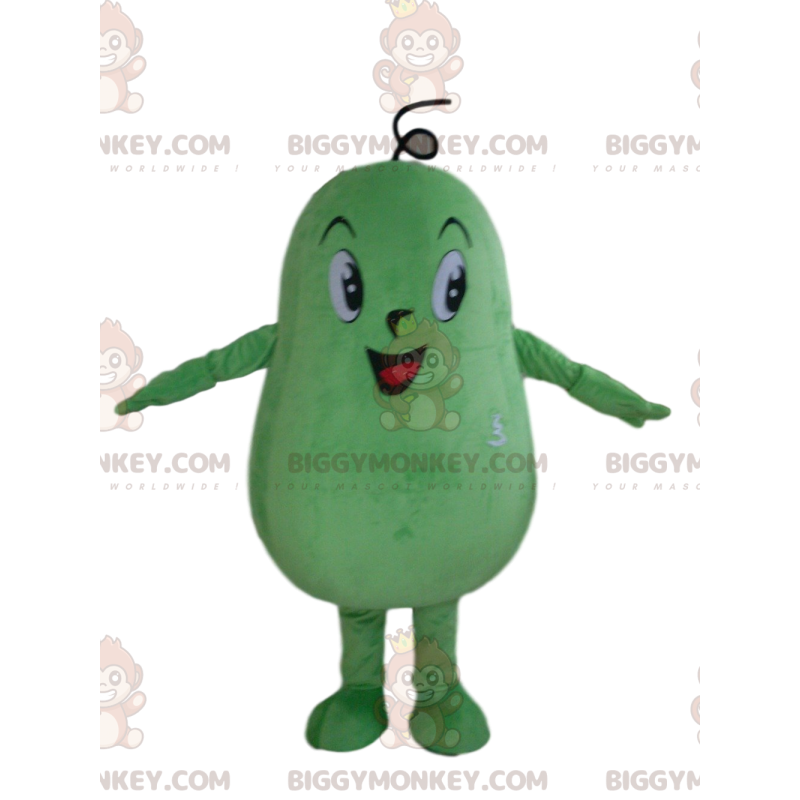 Riesiger grüner Kürbis BIGGYMONKEY™ Maskottchen-Kostüm, grünes