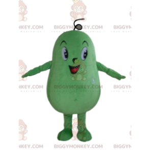 Costume de mascotte BIGGYMONKEY™ de courge verte géante