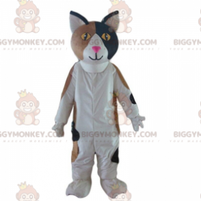 Traje de gato tricolor, fantasia de gato fofo – Biggymonkey.com