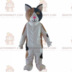 Τρίχρωμη στολή γάτας, χαριτωμένη στολή γάτας - Biggymonkey.com