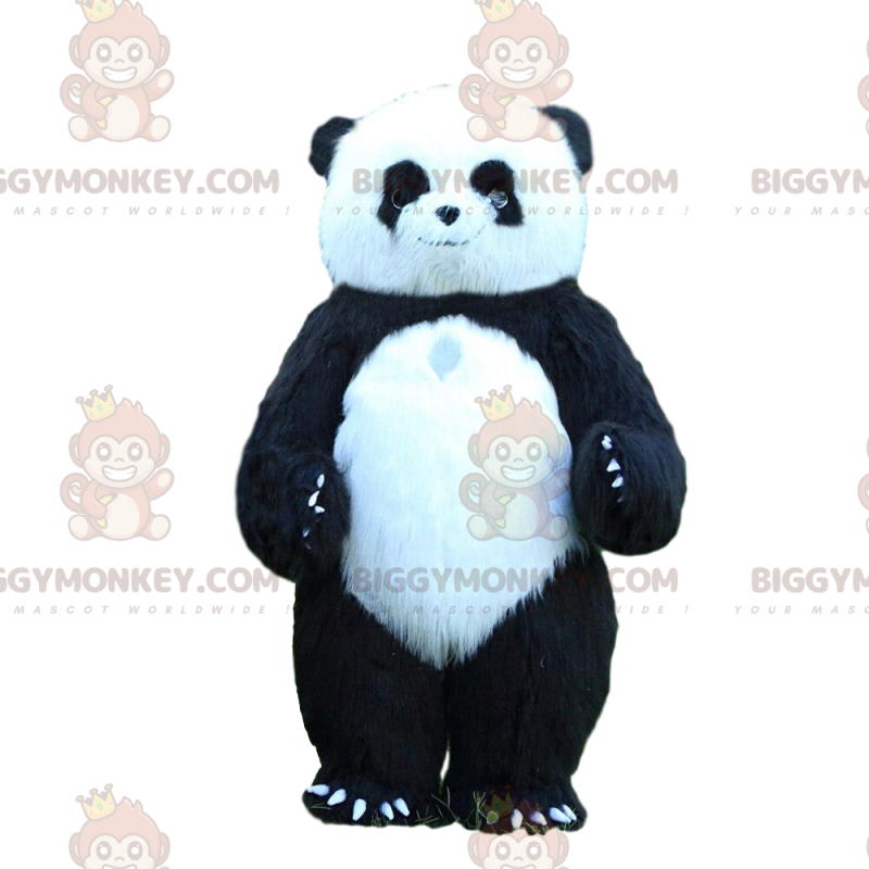 BIGGYMONKEY™ Opblaasbaar Panda-mascottekostuum, 3 meter lang