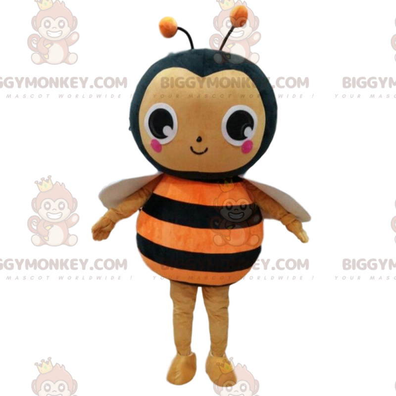 Orange and black bee costume, flying insect costume –