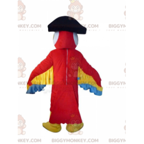 Fato de papagaio vermelho, com chapéu de pirata –