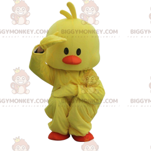 Yellow and orange duck costume, fat chick costume –