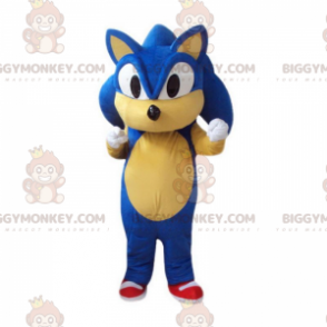 BIGGYMONKEY™ maskotdräkt av Sonic, den berömda