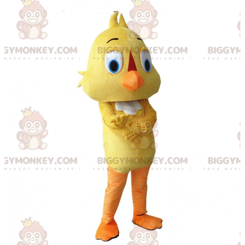 Costume canarino, costume uccello giallo, costume mascotte