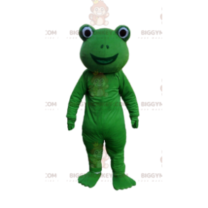 Green and smiling frog disguise, toad costume – Biggymonkey.com