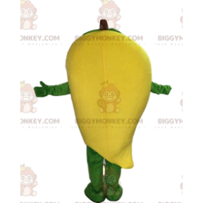 Costume da mascotte Mango gigante BIGGYMONKEY™, costume da