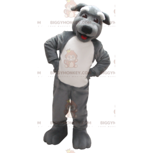 Grauer und weißer Hund BIGGYMONKEY™ Maskottchen-Kostüm -