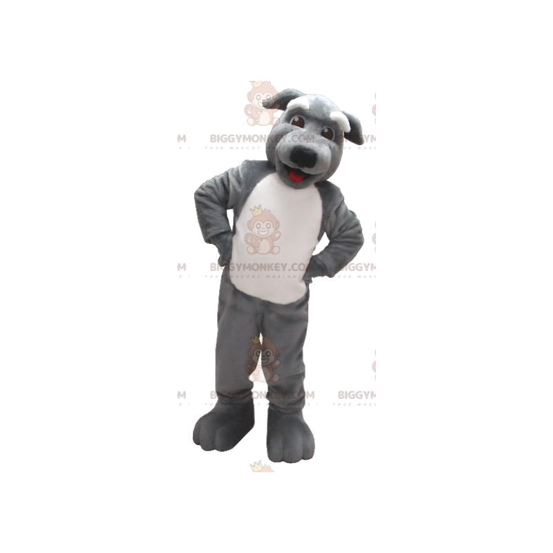 Grå og hvid hund BIGGYMONKEY™ maskotkostume - Biggymonkey.com