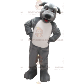 Costume de mascotte BIGGYMONKEY™ de chien gris et blanc -