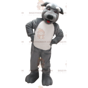Grauer und weißer Hund BIGGYMONKEY™ Maskottchen-Kostüm -