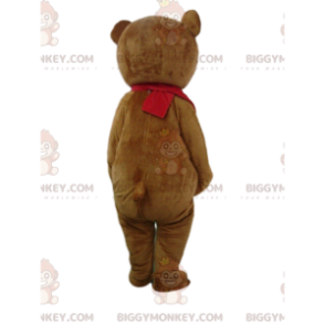 Big brown and white bear costume, teddy bear costume -