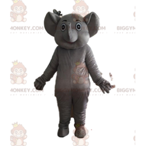 Costume da elefante grigio completamente nudo e