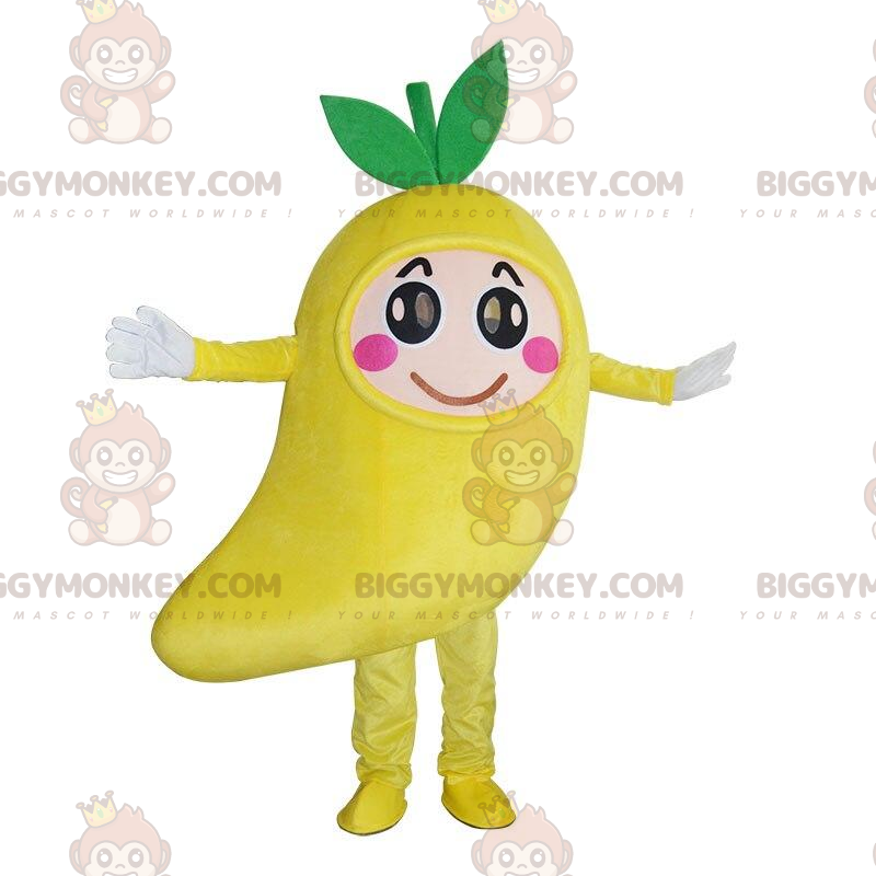 Costume da mascotte Mango gigante BIGGYMONKEY™, costume da