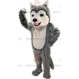 Maskotka BIGGYMONKEY™ z szarego i białego husky, kostium psa