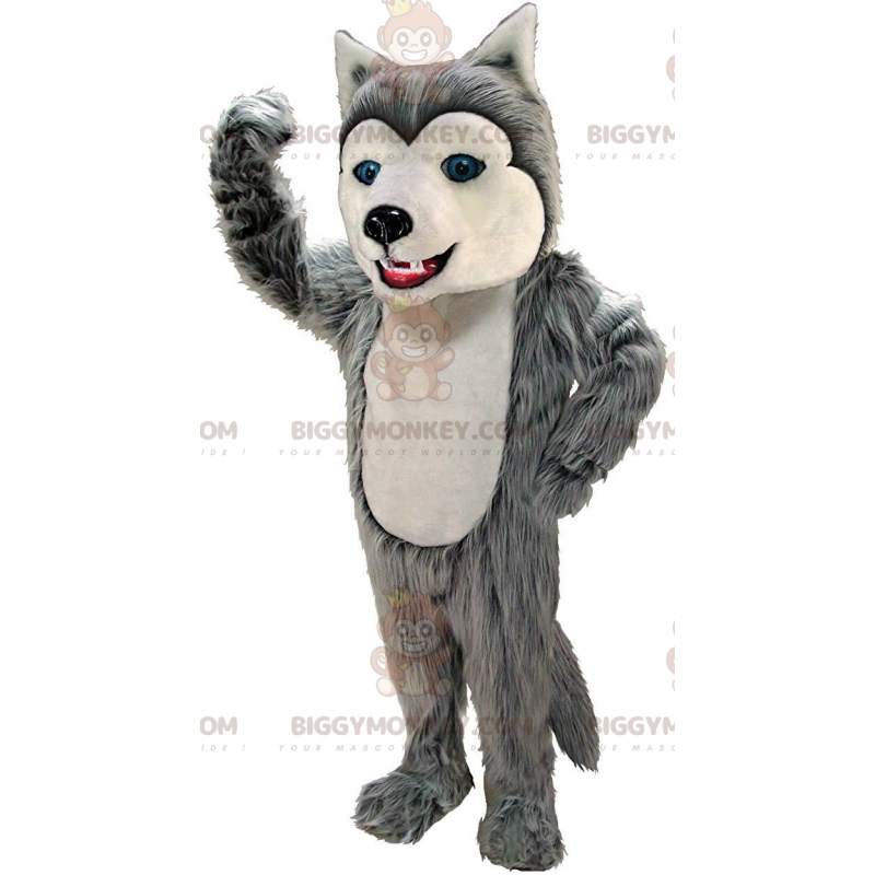 Costume de mascotte BIGGYMONKEY™ de husky gris et blanc