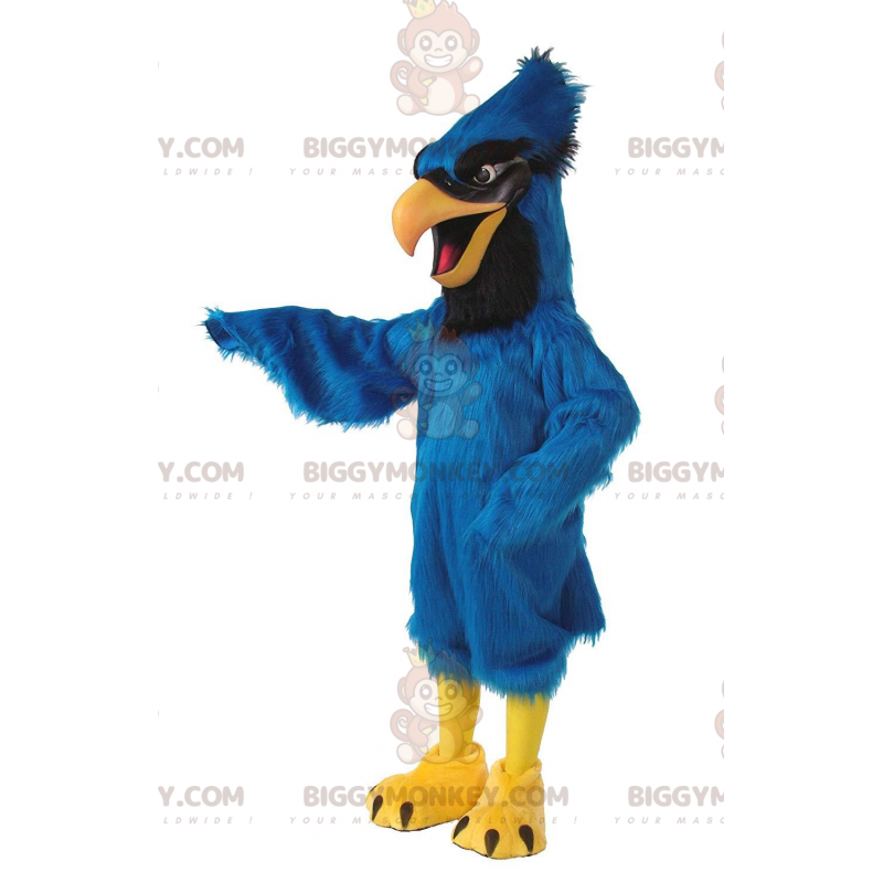 Stellers Jay BIGGYMONKEY™ mascottekostuum, blauwe jaykostuum