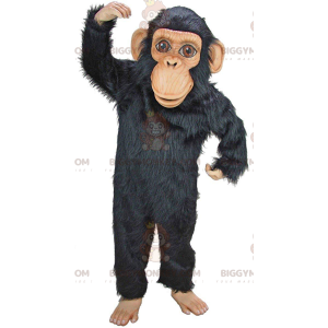 Chimpansee BIGGYMONKEY™ mascottekostuum, zeer realistisch zwart