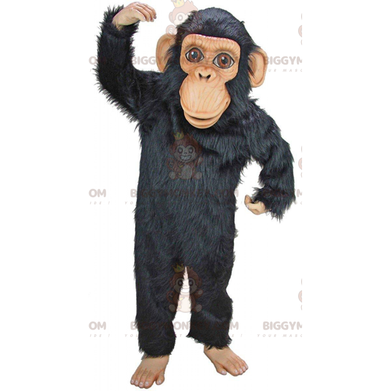 Simpanssi BIGGYMONKEY™ maskottiasu, erittäin realistinen musta